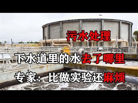 水溝水流去哪|我們身邊的「排水」到底都排去哪裡？